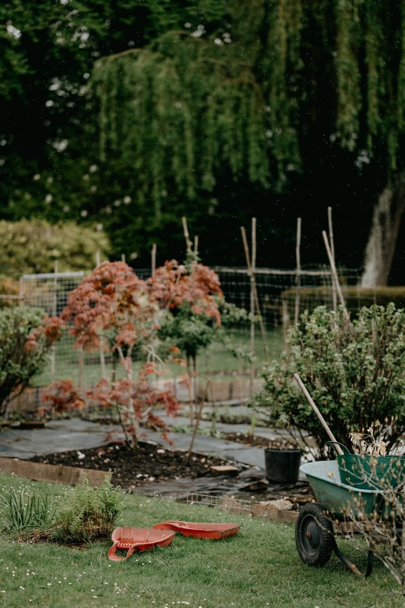 Gartenpflege