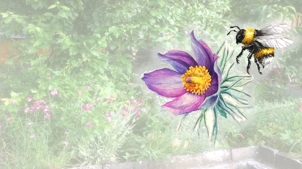 Azmera Garten Tekhlom